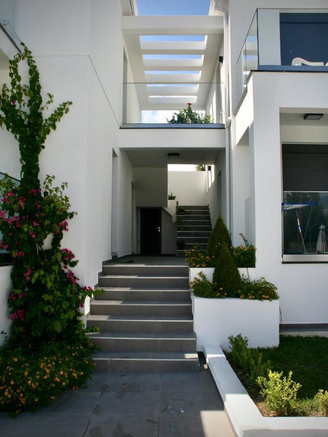 Magic Kefalonia Villa スパルティア エクステリア 写真